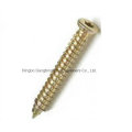 M5-M30 of Csk Socket Screw with Carbon Steel